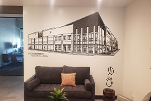 custom wall murals