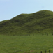 View album