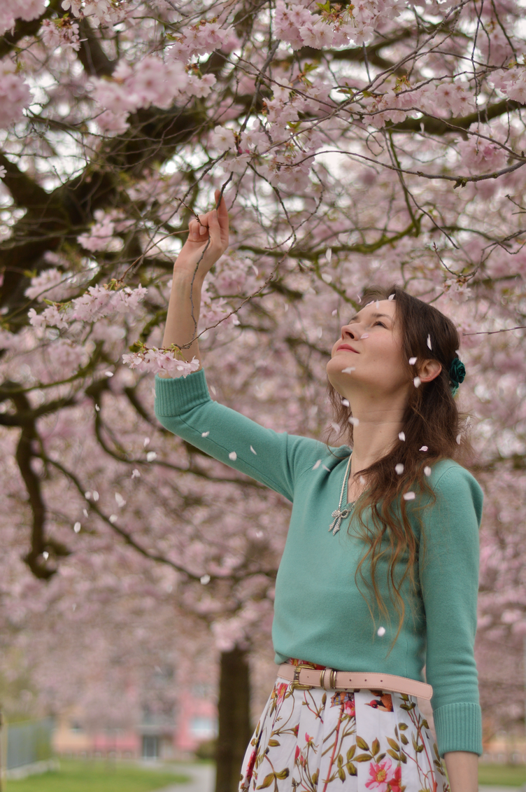 Cherry blossoms, pink feed, handmade 1950s dress, floral vintage style, georgiana quaint, český blogger