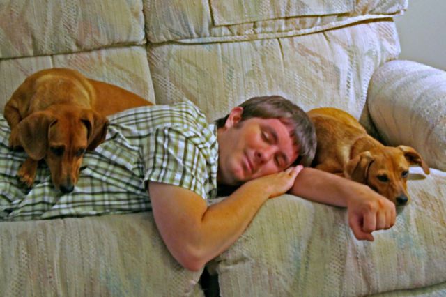 Napping With Pets Seen On www.coolpicturegallery.us