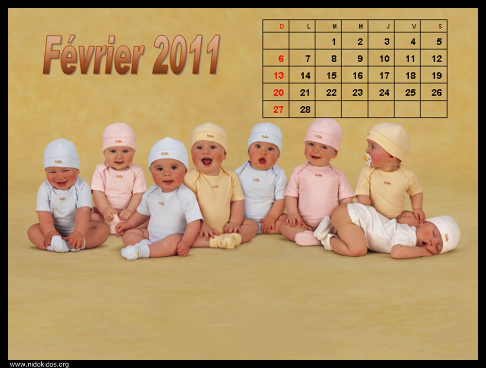 desktop wallpaper calendar 2011