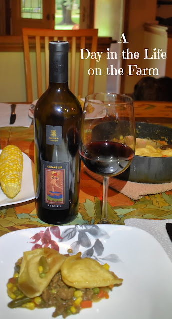 Pierogi Shepherd's Pie and wine