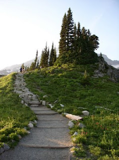 Knole above Paradise Lodge, Mt. Rainier