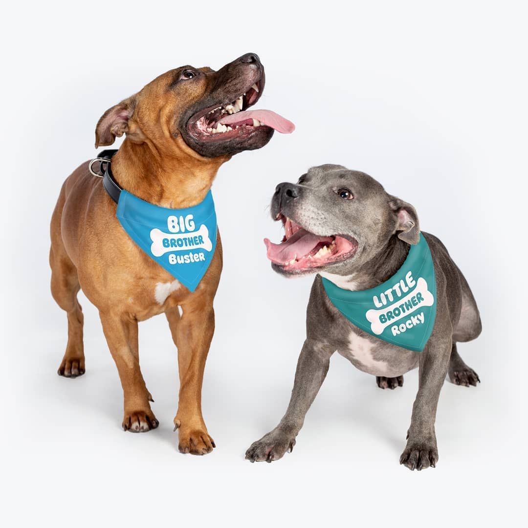 big-brother-little-bandanas-for-dogs