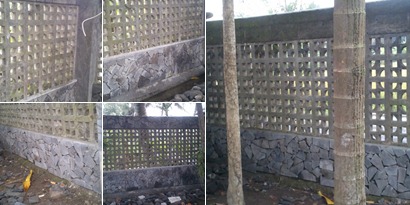 View album