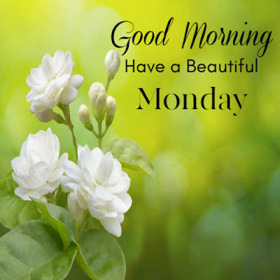 good morning monday new images