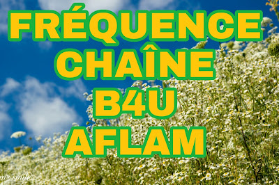 Fréquence de B4U Aflam Chaîne de cinéma de Bollywood en hindi pour regarder des films d'action, Drama