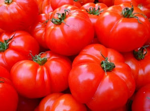Manfaat Tomat Bagi Kesehatan Dan Kecantikan