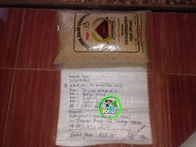 Benih Pesanan   ROHMAN Karawang, Jabar  (Sebelum Packing)