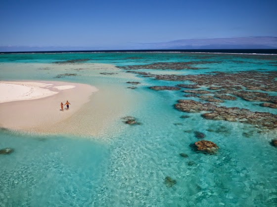 南太平洋旅行専門店 スタッフブログ Bula Vinaka ザ ブランド 14年7月1日 タヒチ時間 本日オープン