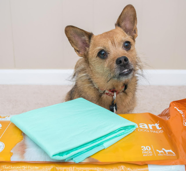 Jada and WizSmart Pet Pads