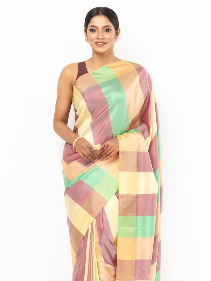 Multicolour Striped Silk Saree