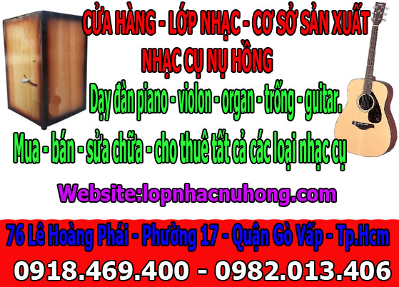 nhac cu hong nhung 2