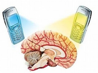 mobile phone radiation danger causes brain cancer