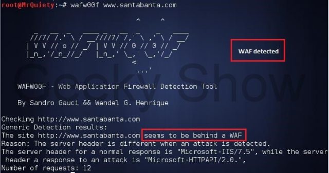 Wafw00f (Web Application Firewall Detection)