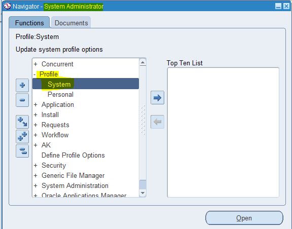 Mandatory profile options in oracle apps