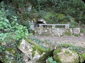 IMG_0027