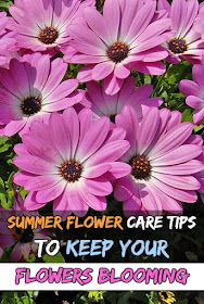flower care tips