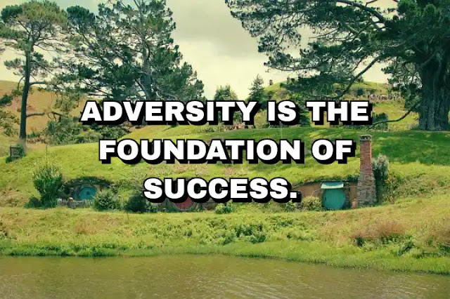 Adversity is the foundation of success.