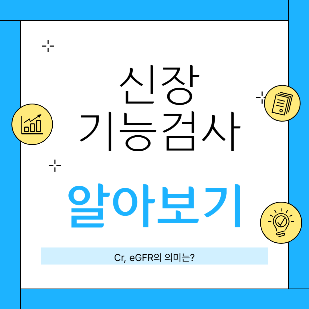 신장 기능검사 관련 썸네일