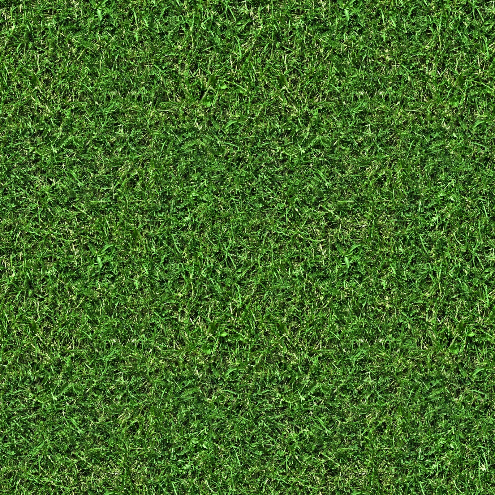 HIGH RESOLUTION TEXTURES: (GRASS 5) seamless turf lawn green ground