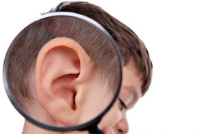8 Nutrisi Penting untuk Menjaga Kesehatan Pendengaran agar Optimal