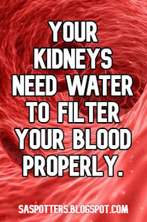 Your kidneys need water to filter your blood properly.