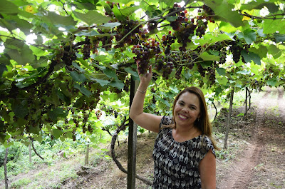 Tour Vinho e Paisagem - Cristofoli