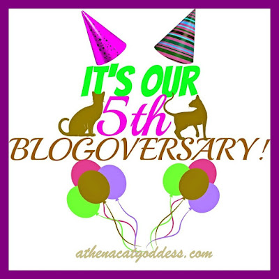 fifth blogoversary