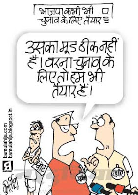 voter, election 2014 cartoons, election, bjp cartoon, nda, upa government, upa, congress cartoon, indian political cartoon