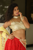 pavani sizzling photos gallery-thumbnail-12