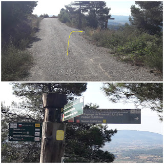 GR-175 Vallbona de les Monges a Poblet, camí ral o carretera LP-2335 i camí de la Carrerada