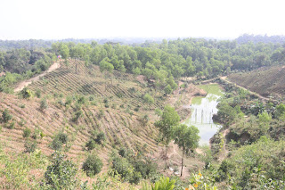 lexus garden sylhet sajek