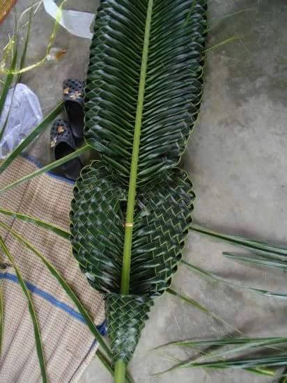 Membuat anyaman  dari  janur daun  kelapa  Kumpulan Kreasi 