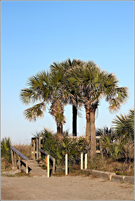 Beach entrance