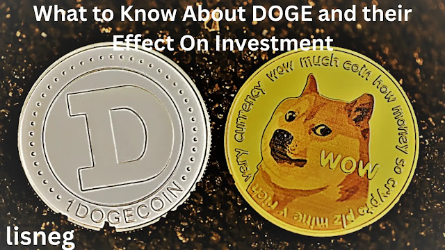 What to Know About DOGE and their Effect On Investment