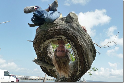 Tree climbing - Rachel upside down