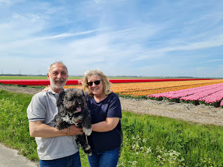 Der Mann, die Frau, der Hund im Tulpenfeld