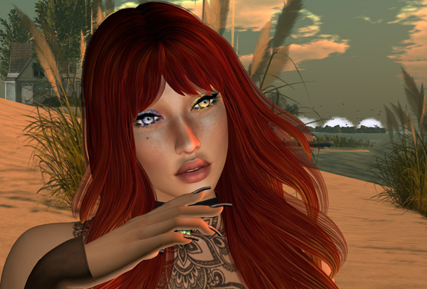 Snapshot_006