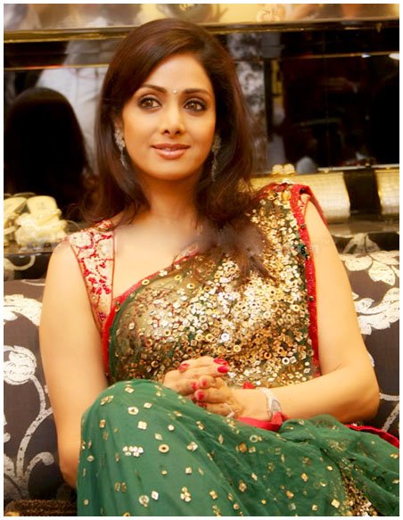 Actress Sridevi Hot Saree Photos