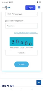 Lupa password akun SSCASN BKN PPPK 2022 cara ubah dan reset