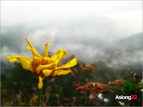 DSCI1303Asiong32