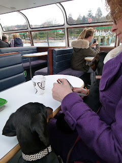 A pair of sausage dogs/dachshunds on a boat