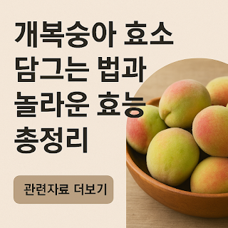 개복숭아-효소-담그는-법과-놀라운-효능-총정리-썸네일