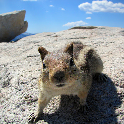 Hey, camera is not food! by Jeffrey Pang