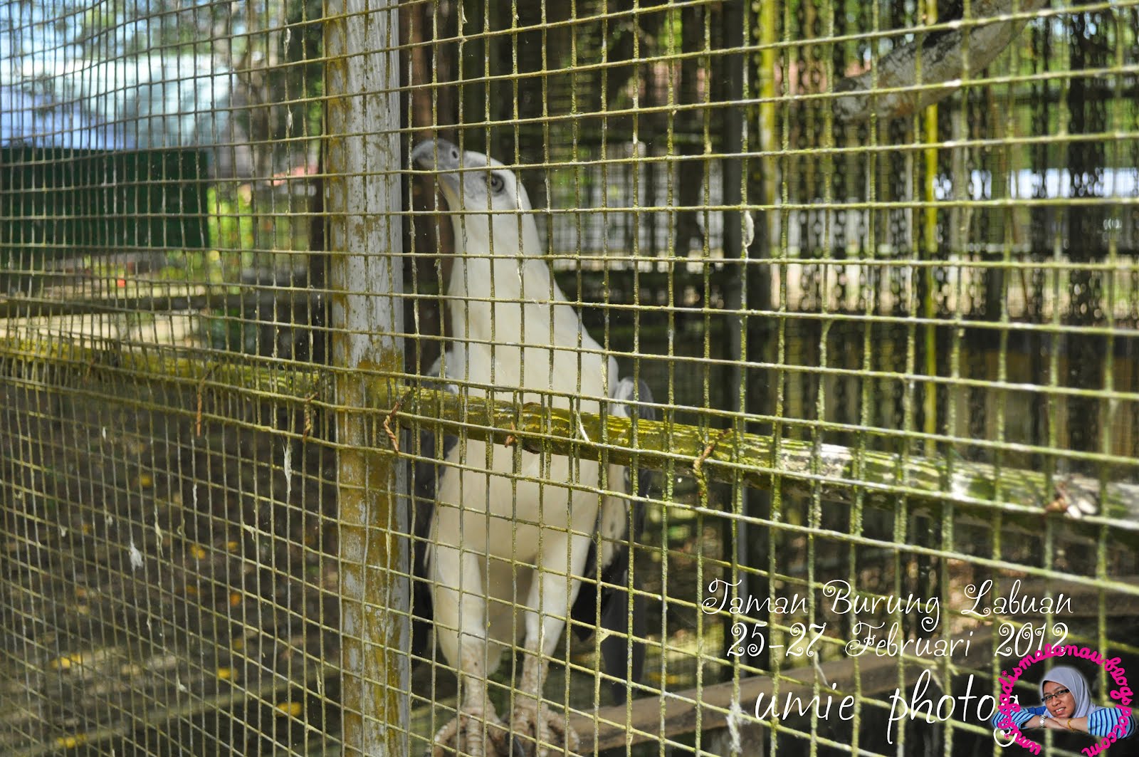 Taman Burung Labuan - Umik Gadis Melanau My Life My Journey