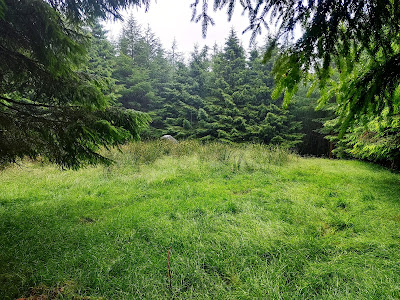 Gortnaglogh Standing Stone in County Laois.