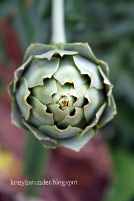 august-in-the-garden-artichoke