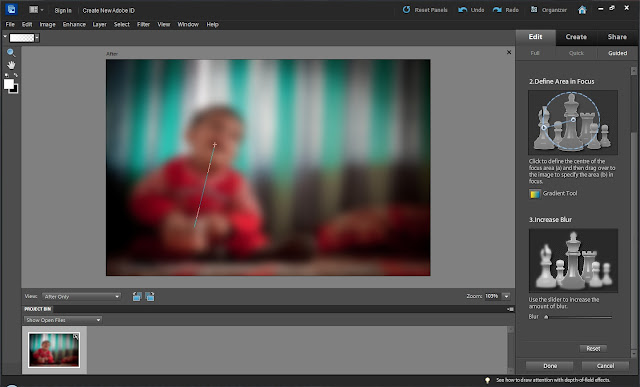 There is a Guided Edit in Adobe Photoshop Elements, which is called as 'Depth of Field'. By looking at above results you might have noticed that it is nowhere near to Depth of Field effect we get with Cameras. So as of now, let's call it partial bur technique which helps in achieving results near to Shallow Depth of Field. Guided Edits in Adobe Photoshop Elements are most easy to use effects with step-by-step guidelines. Let's see how Depth of Field Guided Edit work and perform... Let's go step by step and also learn things we need to be aware of during different steps1. Open a photograph in Adobe Photoshop Elements Editor and go to Guided Edit Panel. (Please see the image below and make sure that this is how your workspace look like...)2. There are various sections under Guided Edit Panel in Adobe Photoshop Elements. Select 'Lens Effect' and Click on 'Depth of Field' . The image shown below shows the refreshed panel after click Depth of Field Guided Edit3. Now in Depth of Field Guided Edit, there are two different options to go for. In this article we will explore the first one and simple one :) . Names of these two effects are - SIMPLE and CUSTOM (Can you guess what these would be?) . To me first one sounds something easy and basic, while the second one should be something exciting :). Let's see if I am write or wrong. So click on Simple, the first option and proceed. It should open following screen on right side of Adobe Photoshop Elements - Editor.4. Click on 'Add Blur', although it will give scary effect of blur on first go, but don't worry. It will gradually move towards what you expect out of it. So first step will add blur to your photograph, like what you see in following image.5. This is most critical step, where we have to be very careful to get near to best results. There is a gradient marker and we have to mark an area which should be in focus. First time, it's difficult to guess the effect it would give but try and refine gradually. As a small tip, mark the area towards the middle of the main subject and it will automatically take care of surrounding regions. At times, this require re-measurements again n again. So try it and reach the best possible you can get out of it6. This is how it will look and blur effect can be intensified by the slider shown in step-3. I have changed blur a bit and happy with what it's showing right now.7. When done with this selective blur effect in Adobe Photoshop Elements, click  Done and come out of this workflow. We clicked on the drop-down below the image an select Before-After horizontal View.This is how it would shown the original Photograph and the final result. Hope you are happy with results. At times, this doesn't give good results with subject having non-uniformed shapes, which is the usual thing. We shall discuss the other trick to handle such subjects with Custom Depth of Field Effect soon.This is original Photograph used in this articlFinal Result we got through Simple Depth of Field Guided Edit in Adobe Photoshop Elements.  Next article would cover Custom Depth of Field Technique to deal with all types of shapes of main subject.