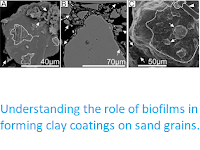 http://sciencythoughts.blogspot.co.uk/2017/12/understanding-role-of-biofilms-in.html